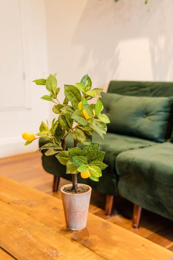 Apartmán 2Cq*Morden Studio Flat *Moments Away From Brighton Seafront Exteriér fotografie